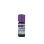Eucalyptus globulus bio - huile essentielle - 10 ml