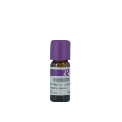 Eucalyptus globulus bio - huile essentielle - 10 ml