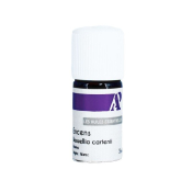Encens Bio - huile essentielle - 5 ml